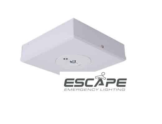 DOMUS EVAC D63 LED SURFACE MOUNT EMERGENCY LIGHT